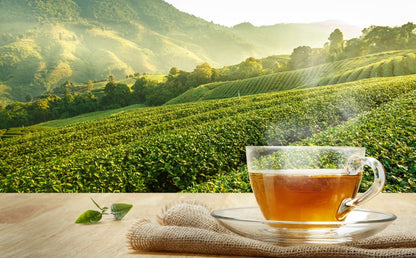 Un té verde de gran altitud, puro y elegante, para un momento de bienestar excepcional