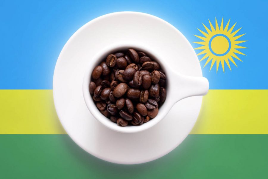 Café de montaña de Ruanda en cápsulas